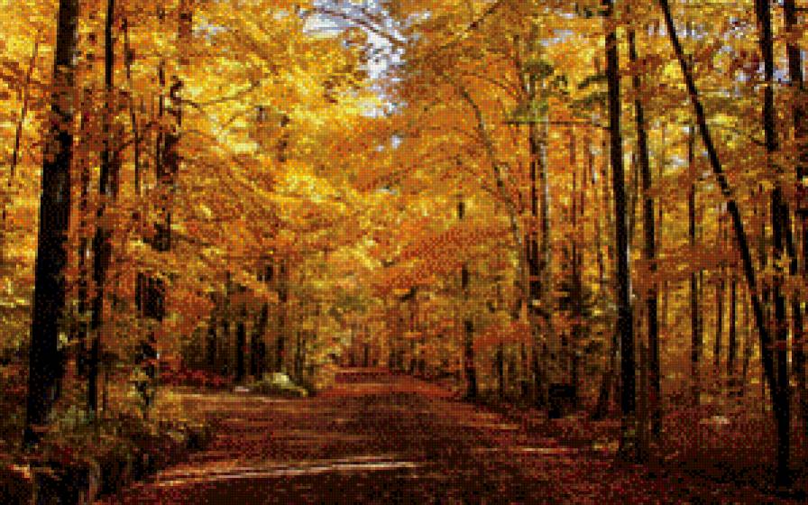 золотая осень1 - природа, осень - предпросмотр