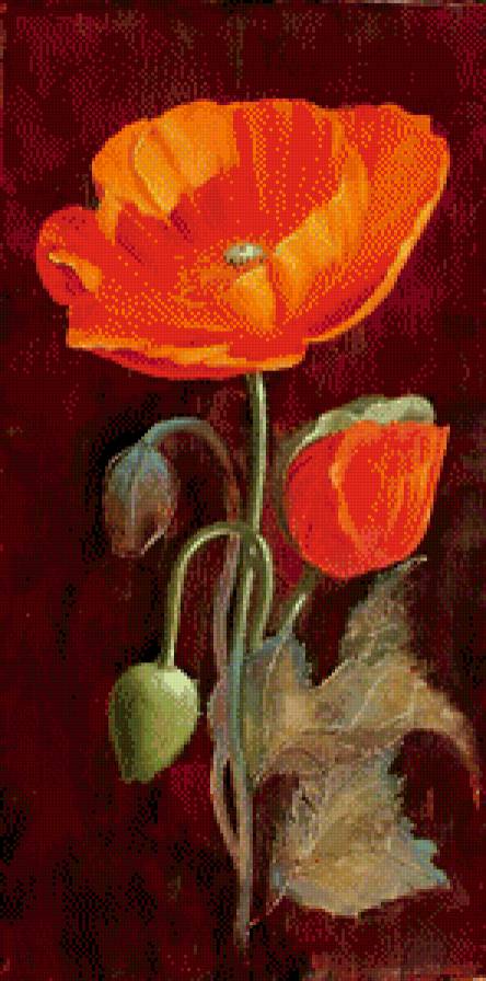 маки - маки, цветы, живопись - предпросмотр