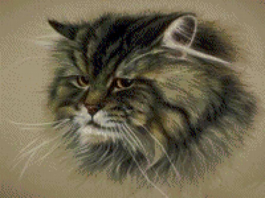 кот - кошки, животные - предпросмотр