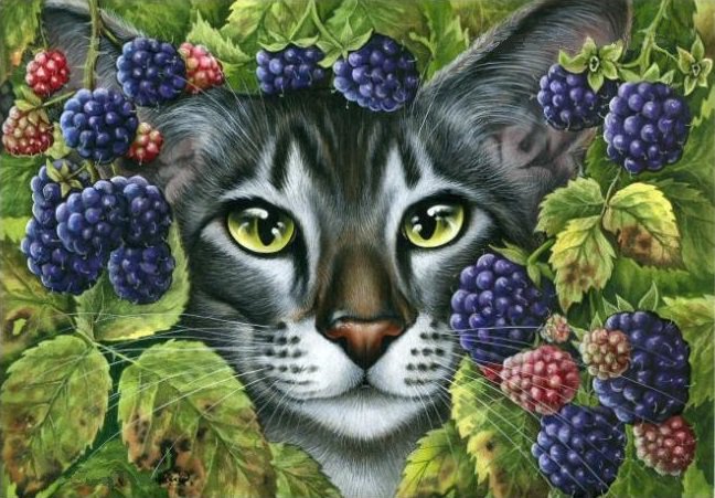 кошки и ягоды - ежевика, кошки, ягоды, домашние животные, кошка, кот, малина - оригинал