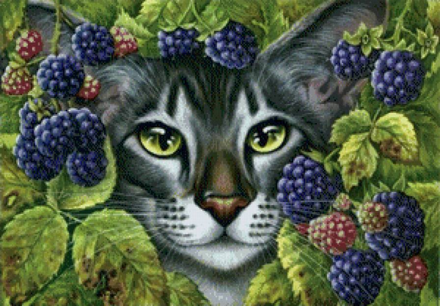 кошки и ягоды - домашние животные, кот, кошки, малина, кошка, ягоды, ежевика - предпросмотр