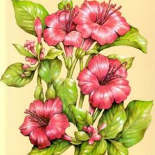 Схема вышивки «розовые цветы»