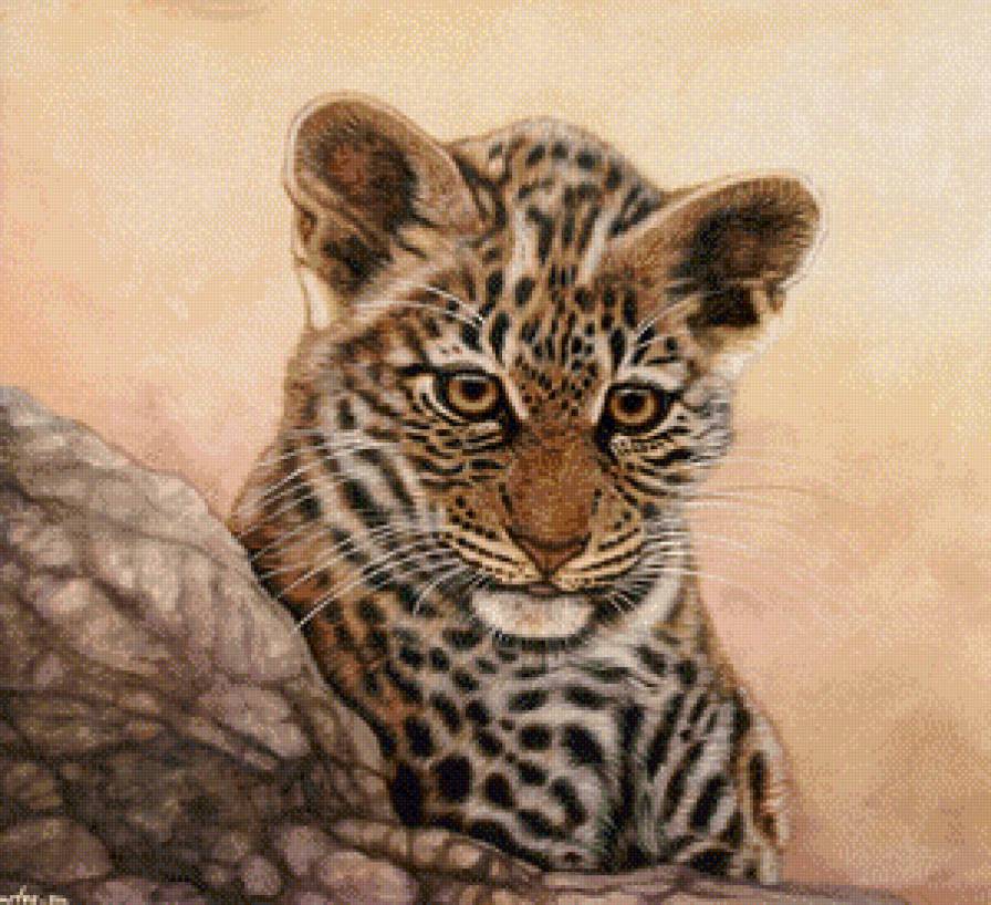 маленький хищник - предпросмотр