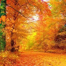 осенний пейзаж