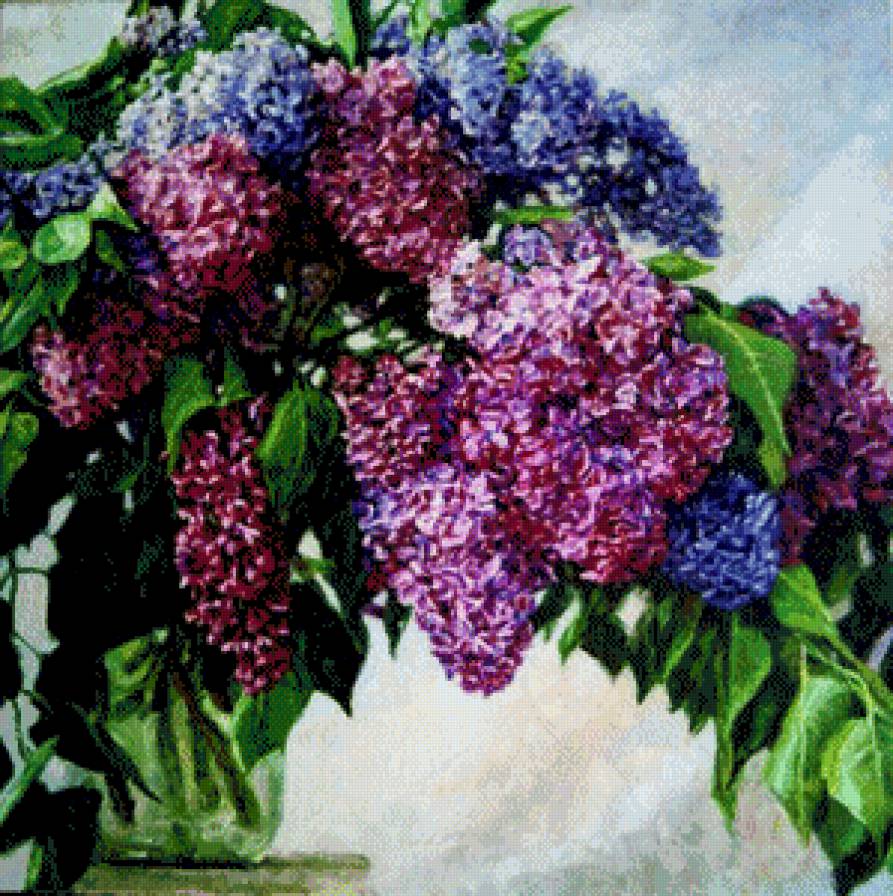 Букет сирени - цветы, букеты, сирень - предпросмотр