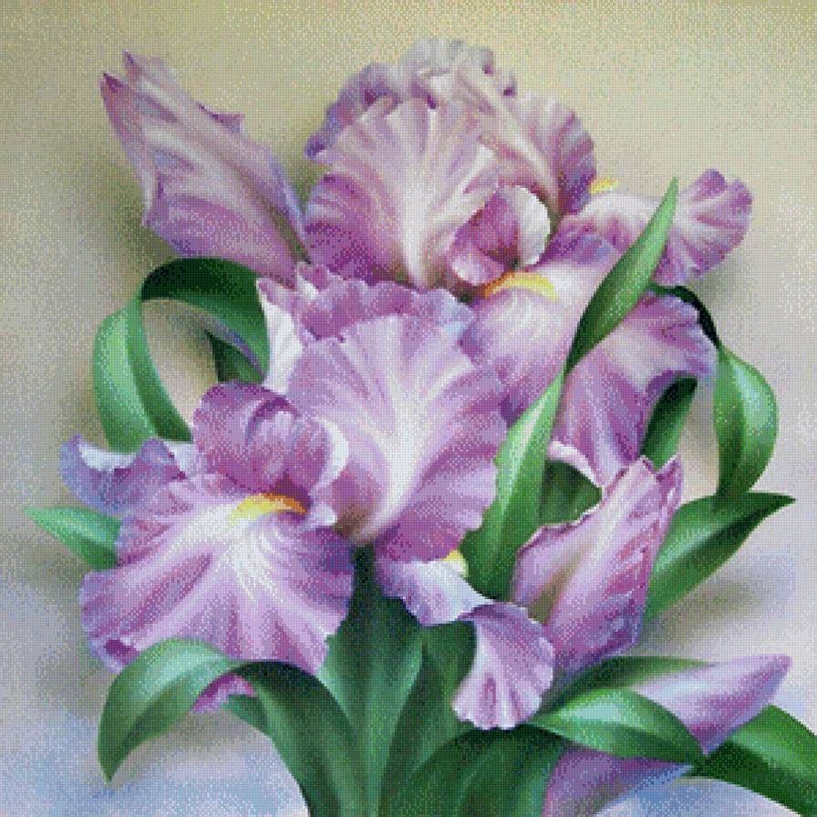 Букет ирисов - букет, цветы, ирисы - предпросмотр