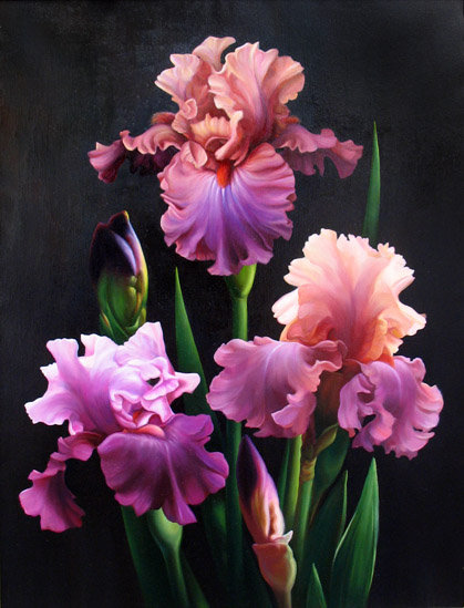 Ирисы 3 - оригинал