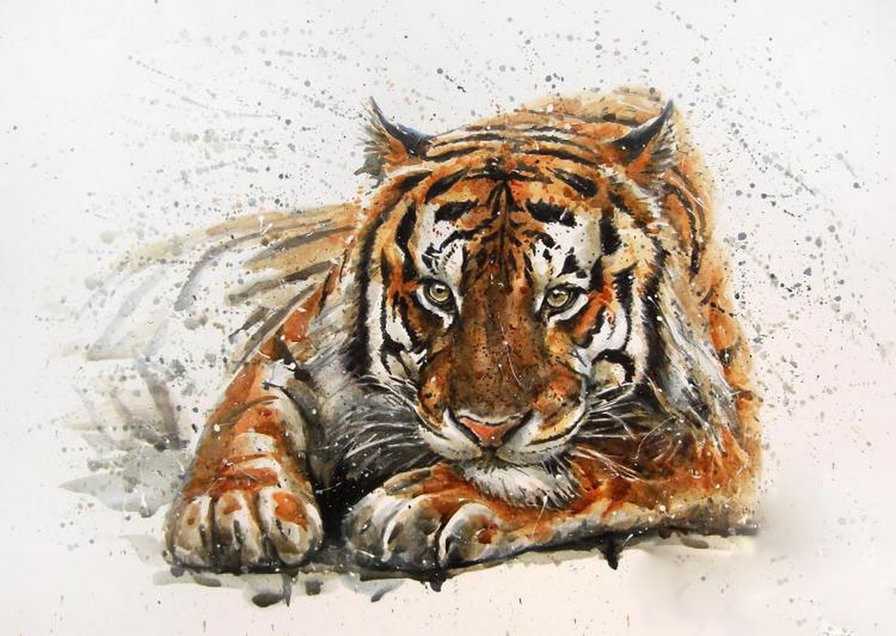 тигр - взгляд, хищник, живопись, акварель - оригинал