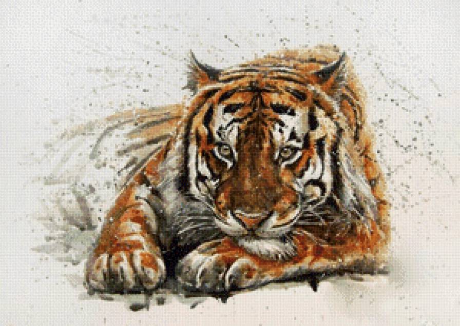 тигр - акварель, хищник, взгляд, живопись - предпросмотр