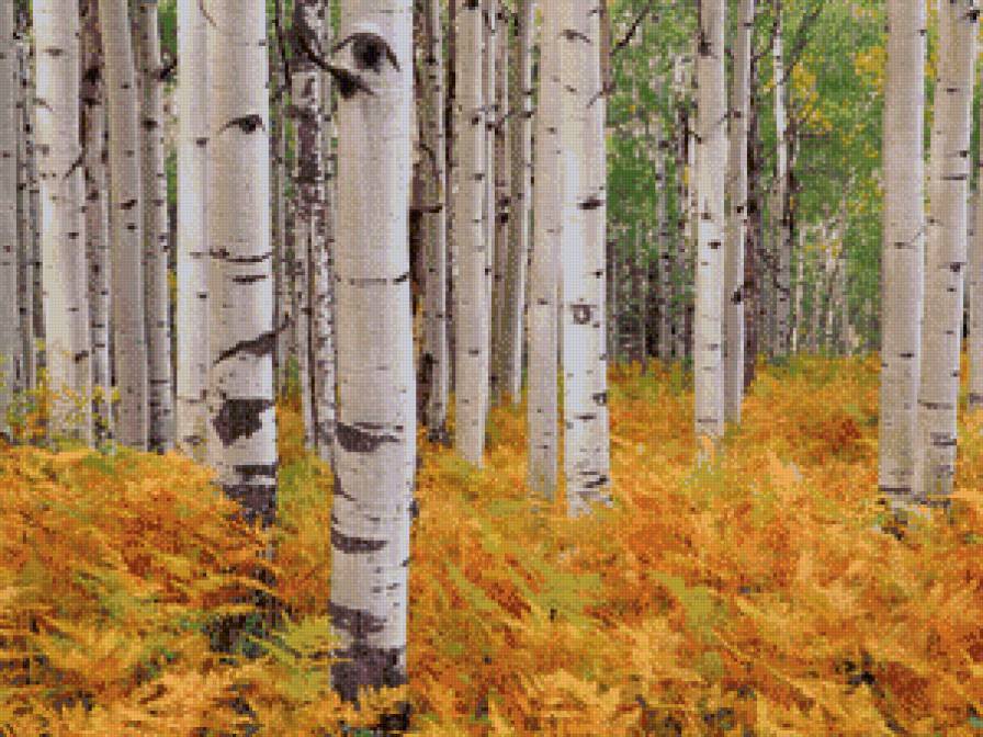 из цикла Пейзажи. - предпросмотр