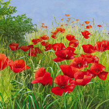 Схема вышивки «пейзаж с маками»