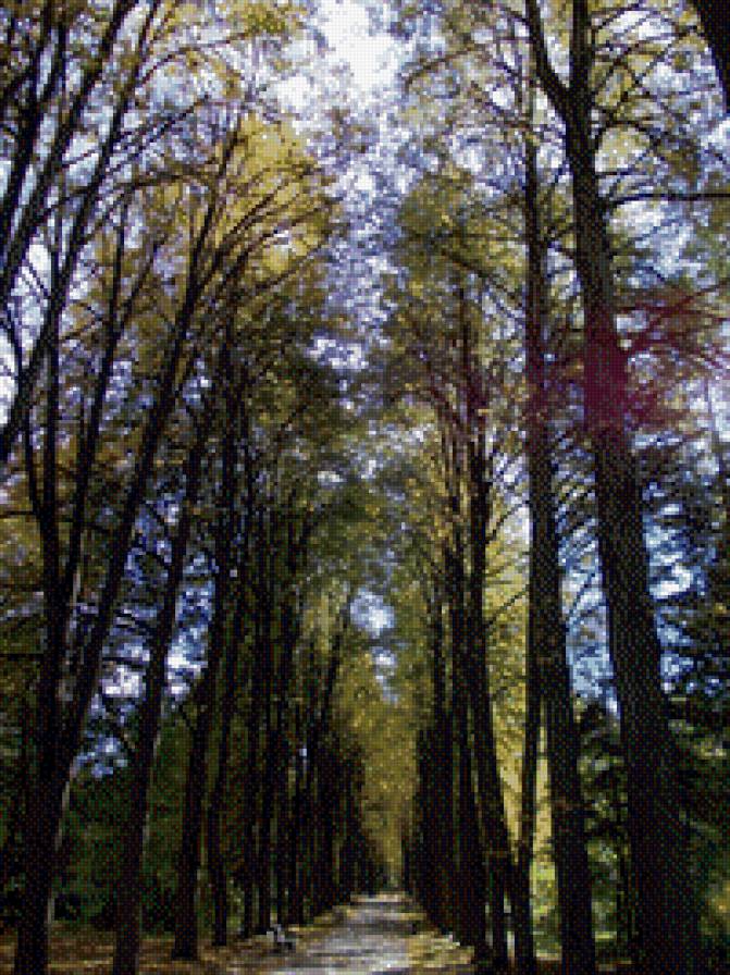 ботанический сад - предпросмотр