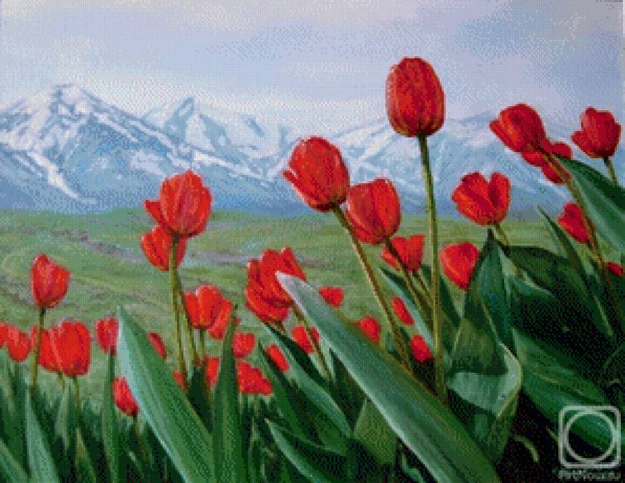 Тюльпаны - весна, горный пейзаж, горы - предпросмотр