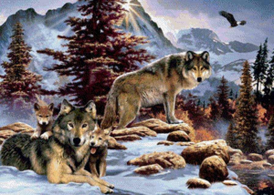 Семья волков - волки, животные, хаед, сказка - предпросмотр