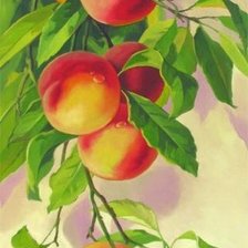 Схема вышивки «ветка с персиками»