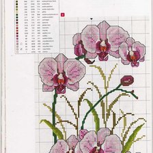 Оригинал схемы вышивки «орхидея» (№457649)