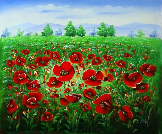 Маковое поле - лето, летний пейзаж, маки, цветы - оригинал