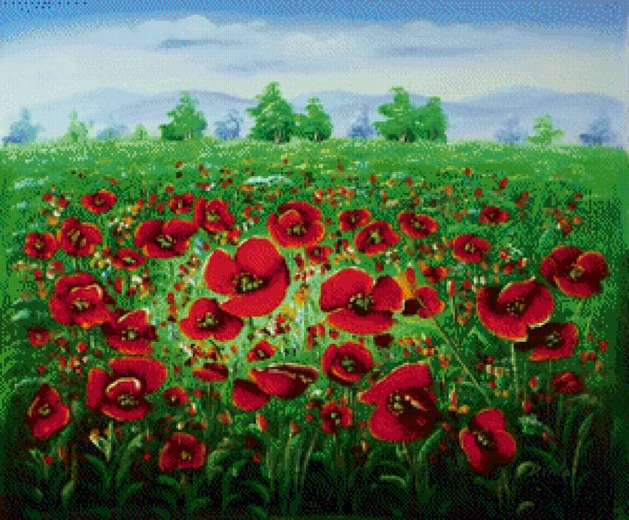 Маковое поле - маки, летний пейзаж, лето, цветы - предпросмотр