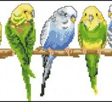 Оригинал схемы вышивки «попугаи» (№457759)