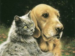 кот и пес - собаки, животные, кошки - оригинал