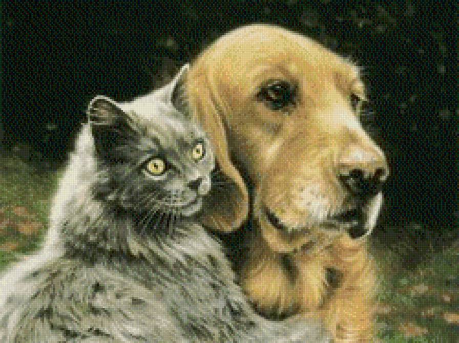 кот и пес - животные, собаки, кошки - предпросмотр