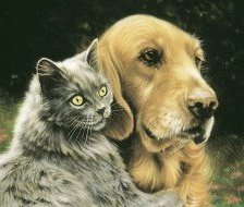 Оригинал схемы вышивки «кот и пес» (№457788)