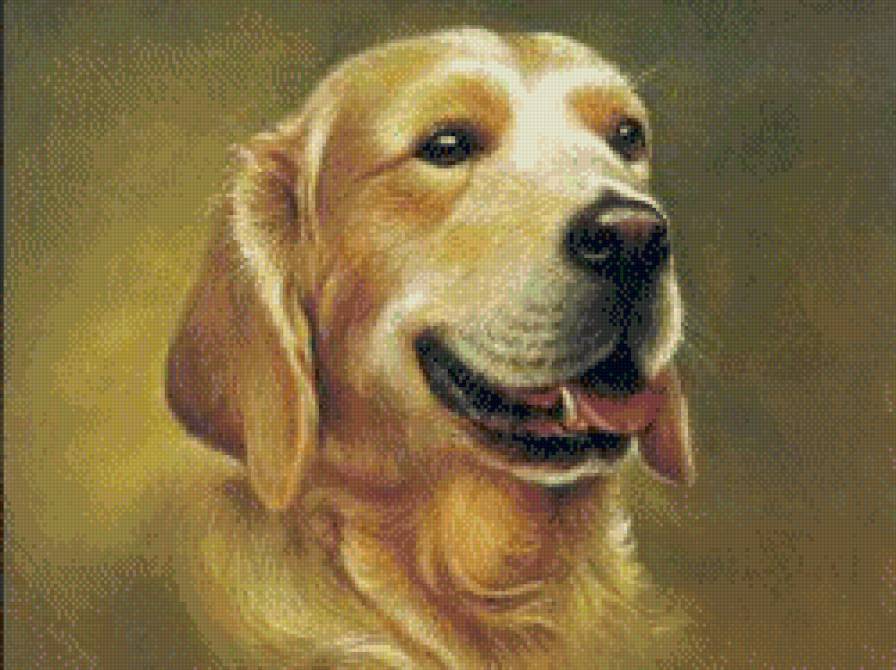 пес - животные, собаки - предпросмотр