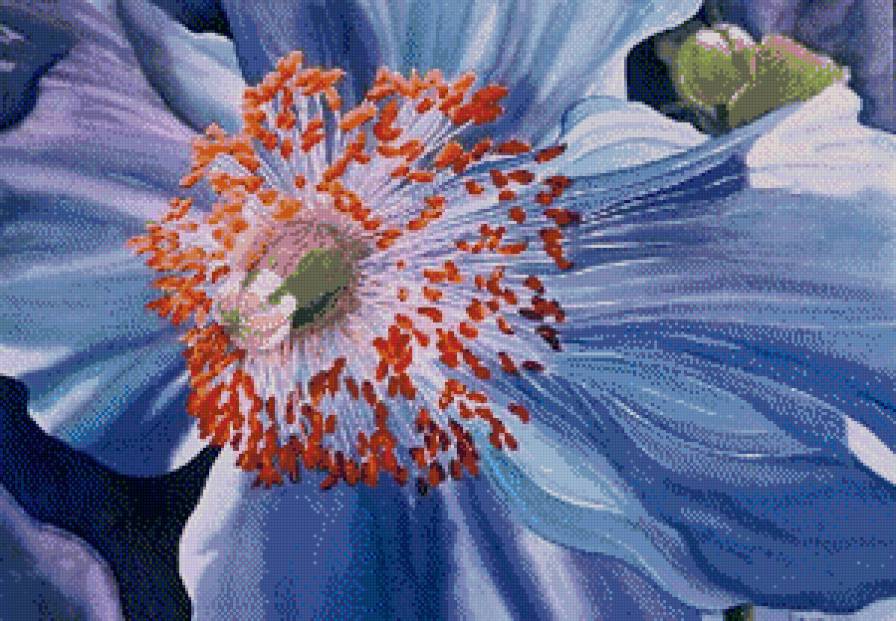 Серия "Букет" - цветы, клематис - предпросмотр