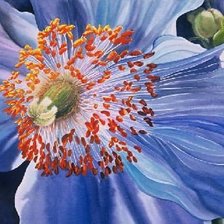 Схема вышивки «Серия "Букет"»