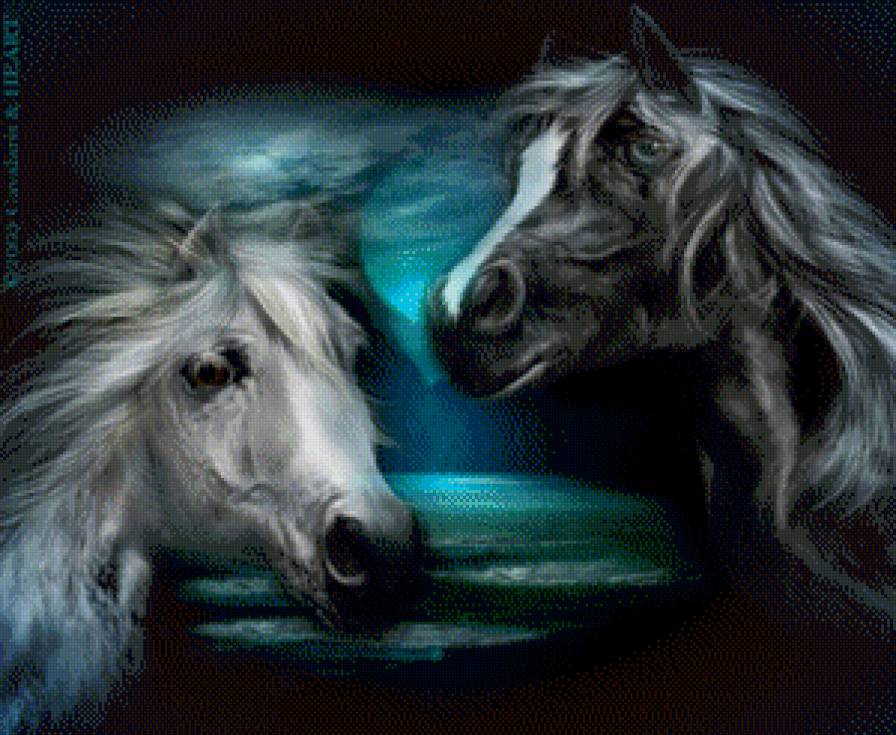 Серия "Кони" - кони, животные, лошади - предпросмотр