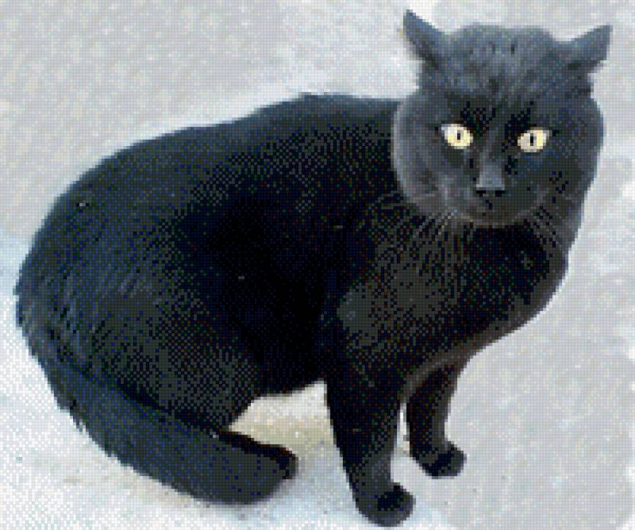 №457915 - жывотные - предпросмотр