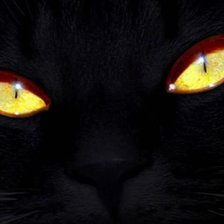 Схема вышивки «№457920»