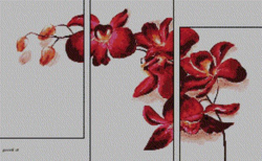 Триптих "Орхидеи" - триптих, цветы - предпросмотр