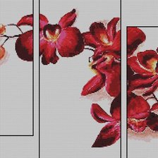 Оригинал схемы вышивки «Триптих "Орхидеи"» (№457926)