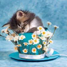 Схема вышивки «Спящее чудо»