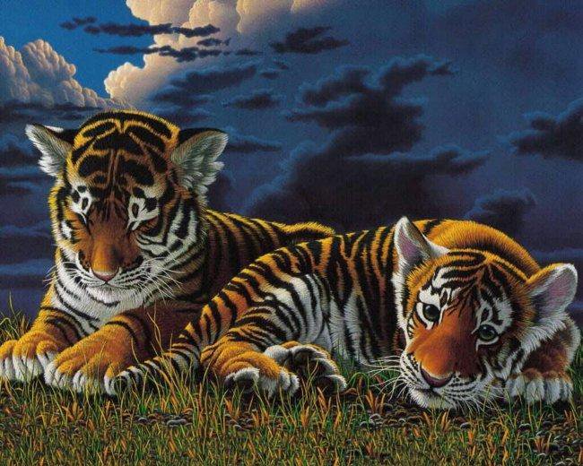 Тигрята - кошки, животные, тигры - оригинал