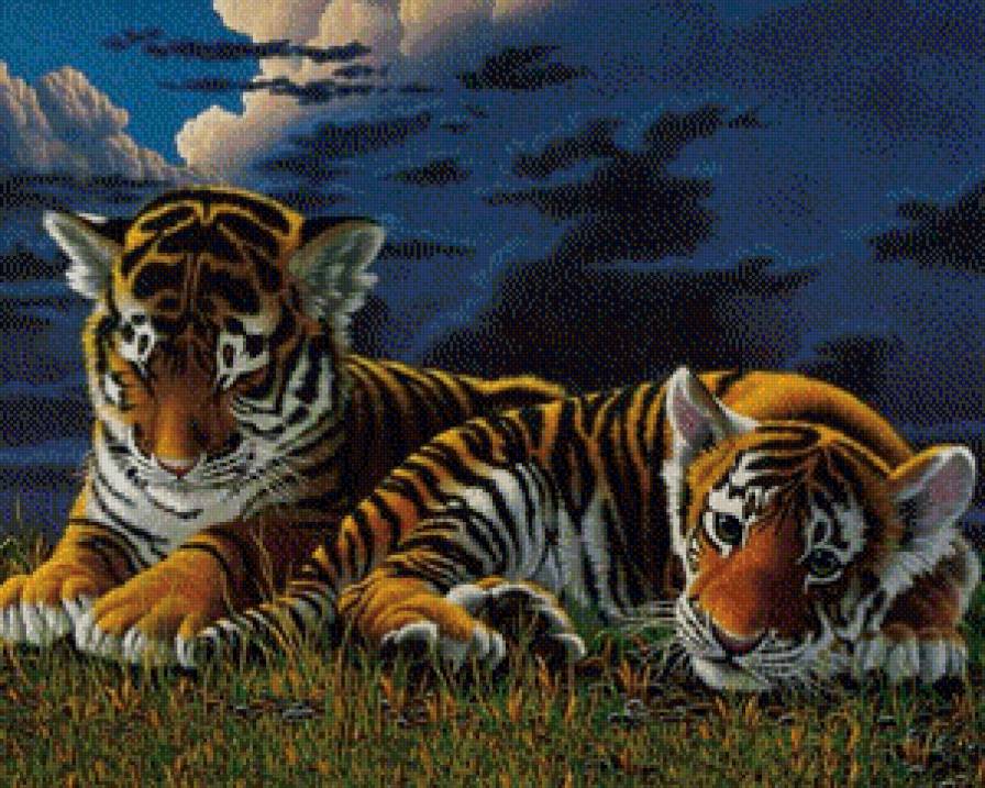 Тигрята - тигры, кошки, животные - предпросмотр