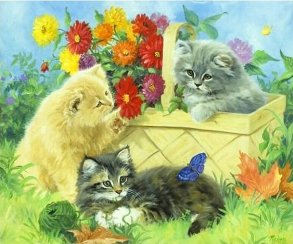 Серия "Кошки" - цветы, букет, животные, кошки, бабочки - оригинал