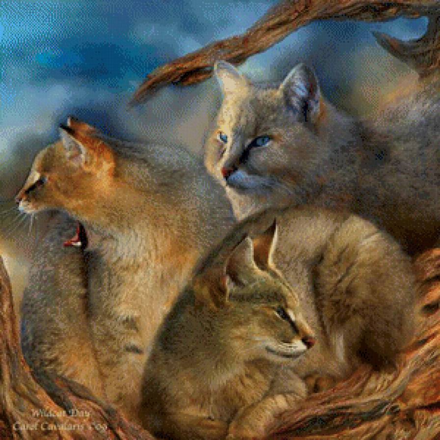 Серия "Большие кошки" - животные, кошки, рыси - предпросмотр