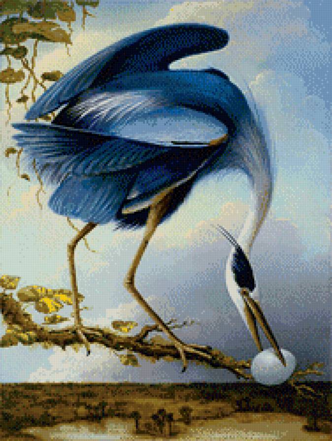 Журавль - восток, птицы, азия - предпросмотр