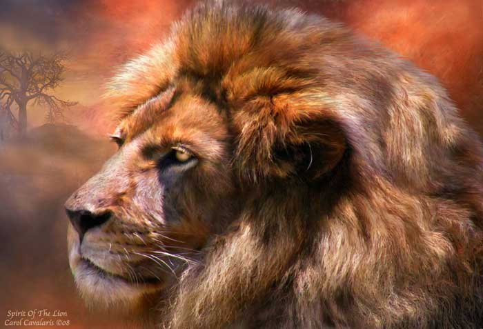 Серия "Большие кошки" - животные, кошки, львы - оригинал