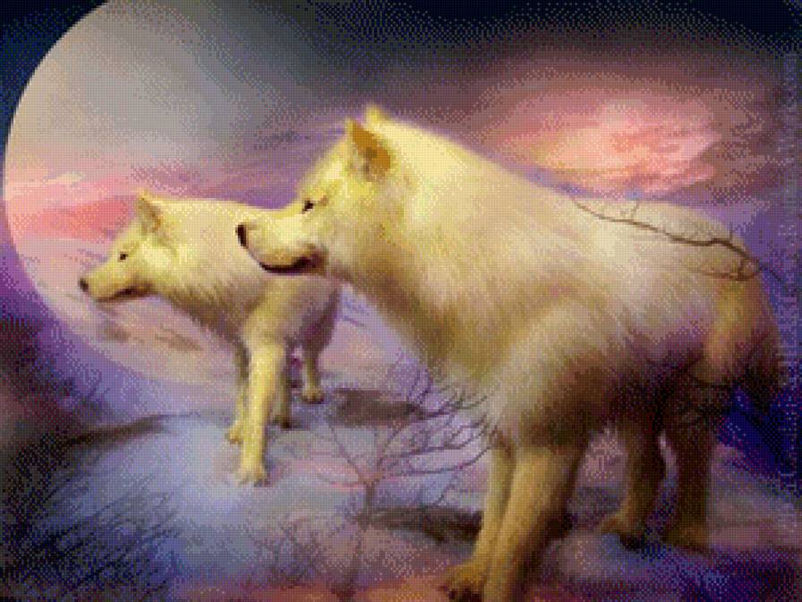 Серия "Волки" - волки, животные - предпросмотр