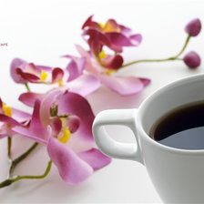 Оригинал схемы вышивки «кофе и орхидея» (№458566)
