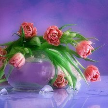 Схема вышивки «Тюльпанчики»