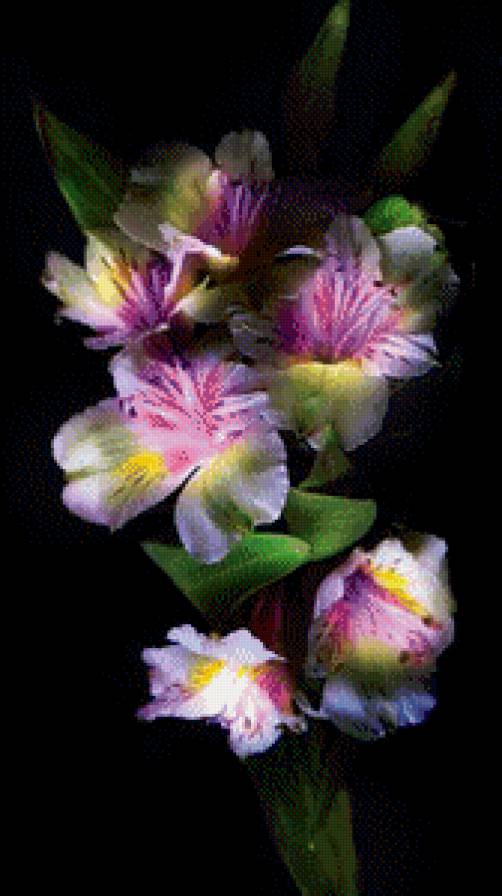 цветы.. - предпросмотр