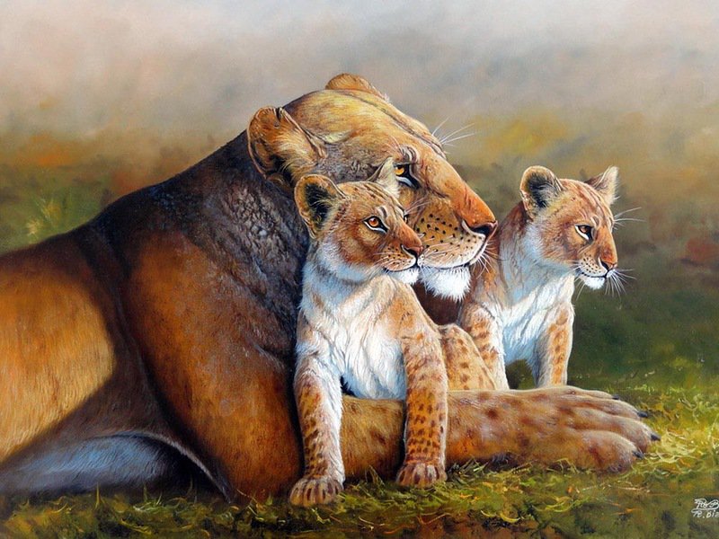 семейство львов - мир животных - оригинал