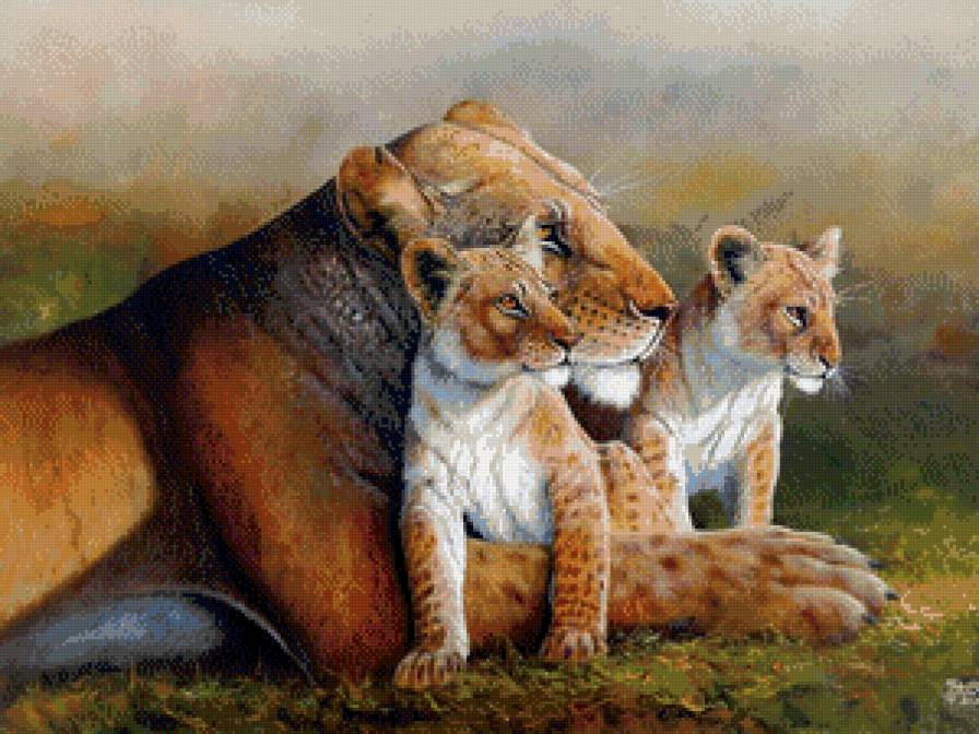 семейство львов - мир животных - предпросмотр