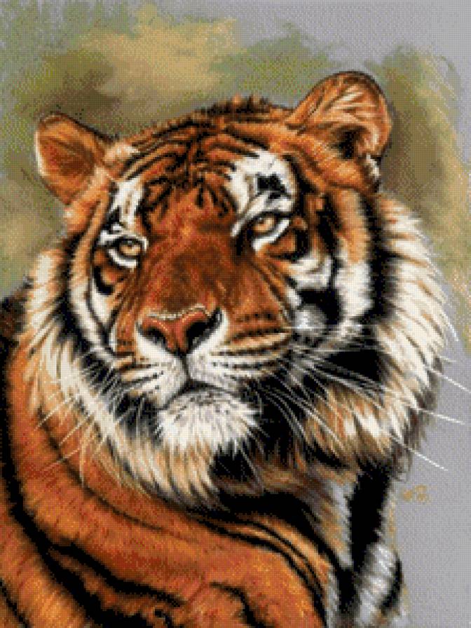 №459017 - предпросмотр