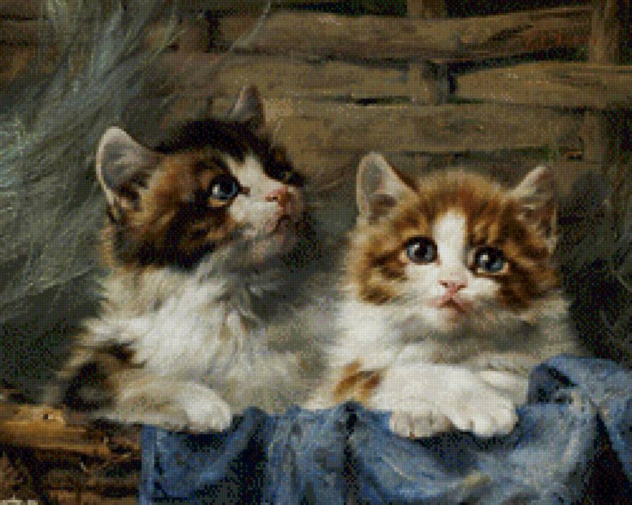 котята очаровашки - котики, котята - предпросмотр