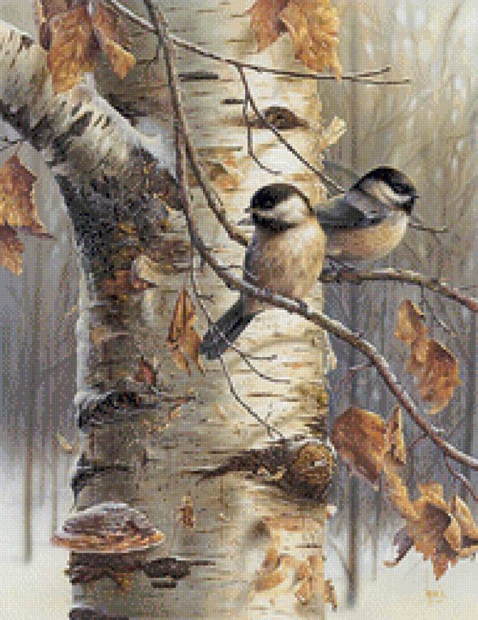 синички на берёзе - осень, птички, синички, птицы - предпросмотр
